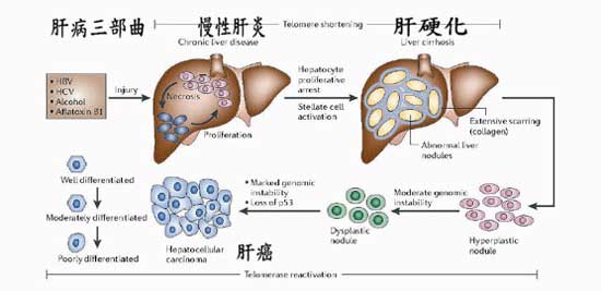 河南郑州医药研究院附属医院